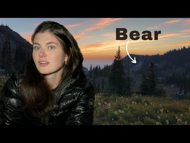 Solo Camping With a Bear Outside My Tent