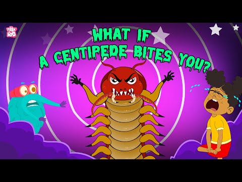 Deadliest Insects & Bugs | All about Insects and Bugs for Kids
