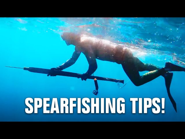 Tips EVERY SPEARFISHERMAN Should Know! feat. Ryder DeVoe