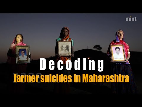Decoding farmer suicides in Maharashtra