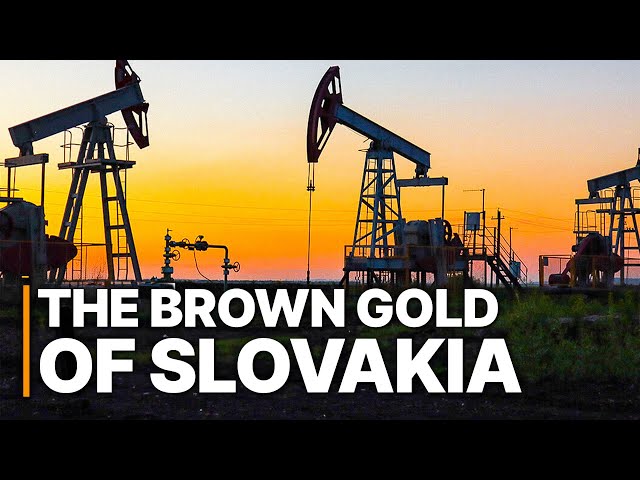 The Brown Gold Of Slovakia | David vs. Goliath | Greedy Cooperates