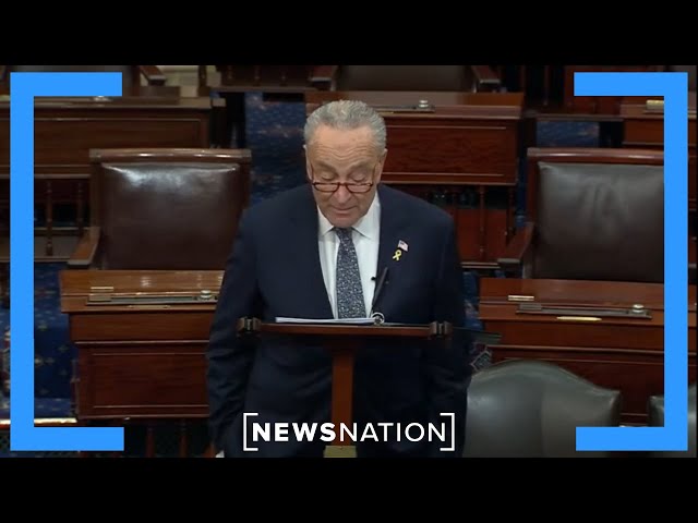 Chuck Schumer gives speech on two-state solution
