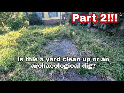 PART 2 - I knocked on a stranger's door and offered a free yard clean up!