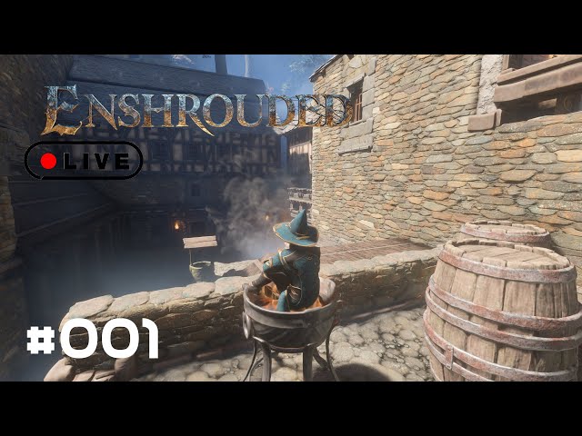 Enshrouded Live #001 - Die ersten Schritte in Enshrouded...