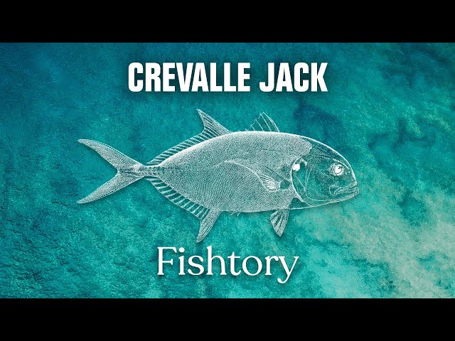 Catching Crevalle Jack: Everything You Need To Know | Fishtory