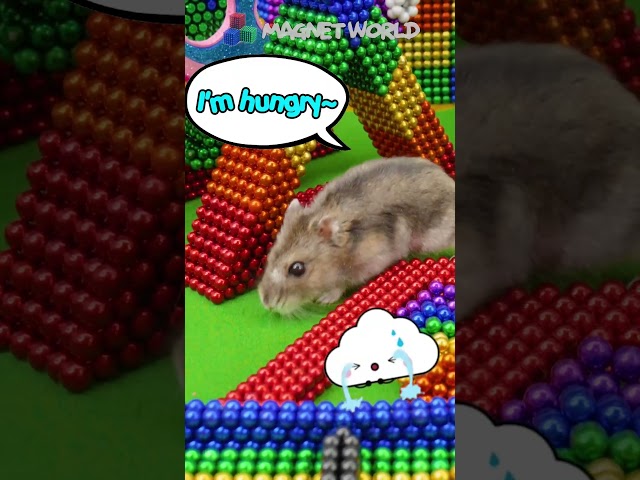 Magnetic Balls Transform into a Hamster Game Park! #shorts