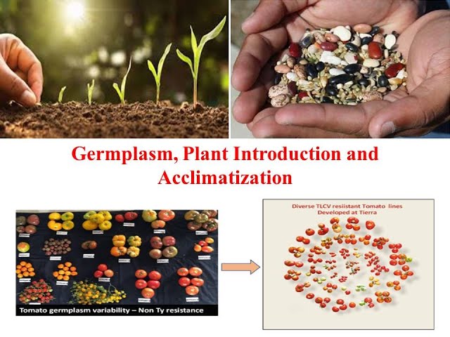 Germplasm, Plant Introduction and Acclimatization- Part One
