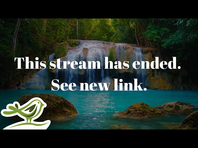 This stream has ended. See new link in description!