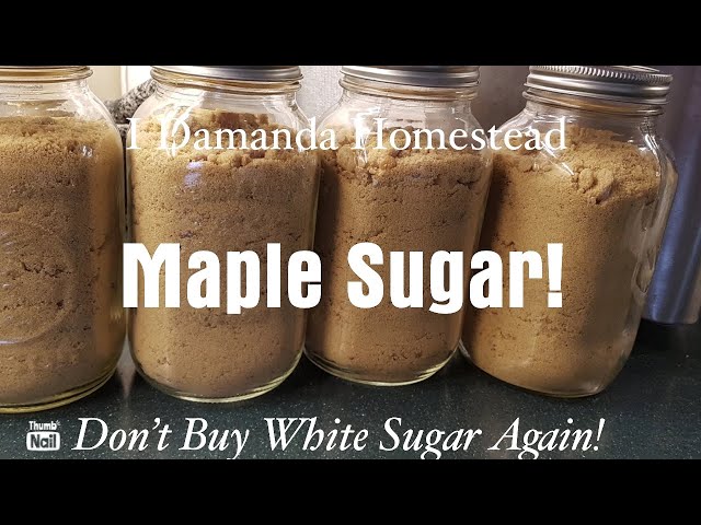 Make Yummy Maple Sugar Easily at Home, NEVER Buy Brown Sugar Again!