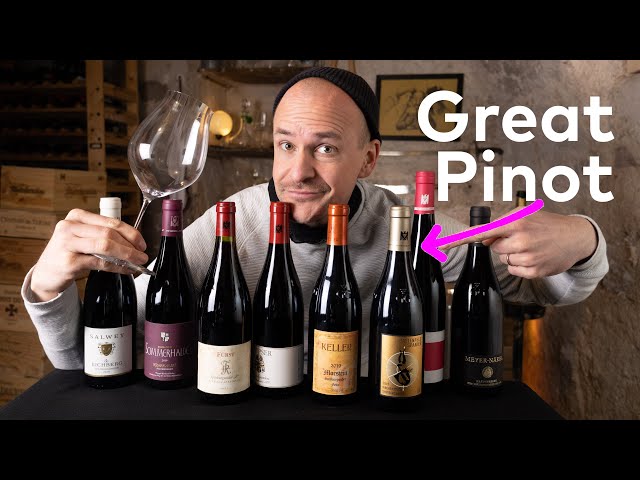 GREAT German PINOTS – Master of Wine tastes Spätburgunder