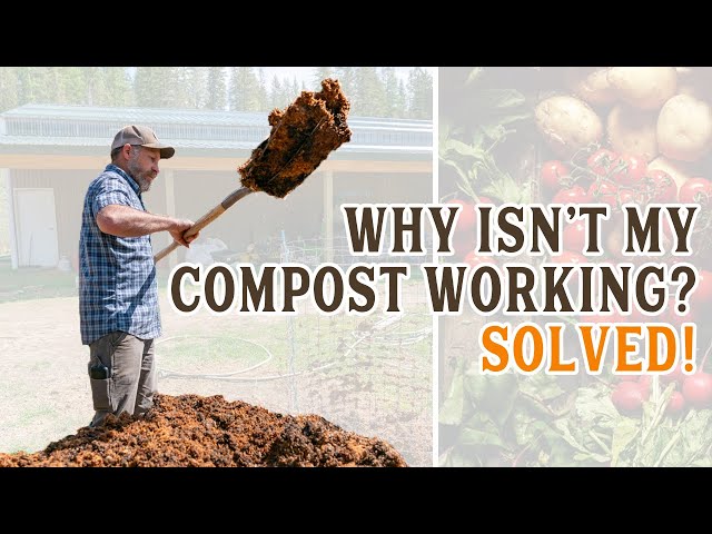 Common Compost Problems FIXED! & How to Turn (Your SIMPLE) Compost