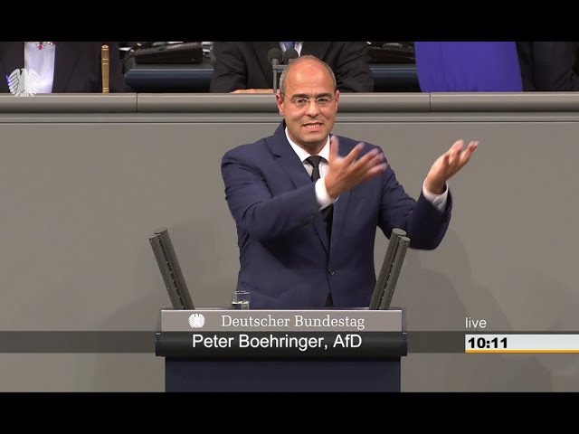 Peter Boehringer: Haushaltspolitik für Deutschland, nicht für die ganze Welt | BT 20.11.2018