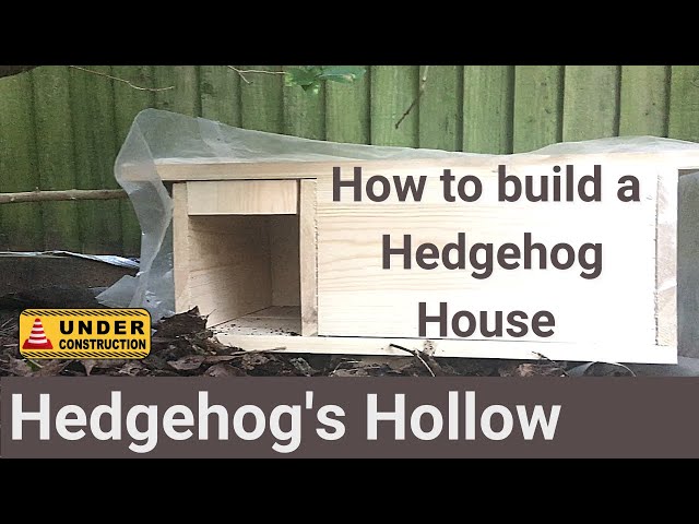 How to build a DIY Hedgehog House from scratch | Hedgehog's Hollow