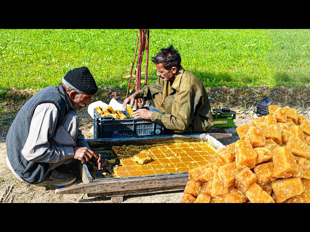 Preserving the Gift of Nature | Organic Jaggery Making Process by Old Farmer in Sugarcane Fields