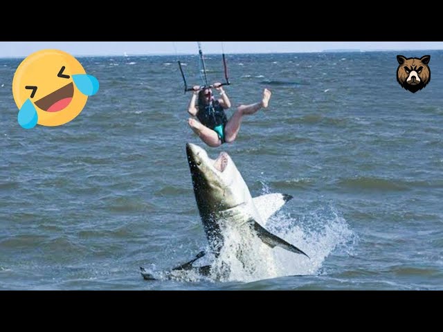 TOTAL IDIOTS AT WORK | Funny Fails Best of The Month 2024