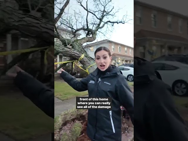 Tree falls onto home in Great Kills, Staten Island