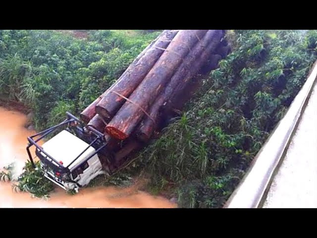 Amazing Idiots Heavy Equipment Logging Wood Truck Operator | Fastest Extreme Truck Fails Driving.
