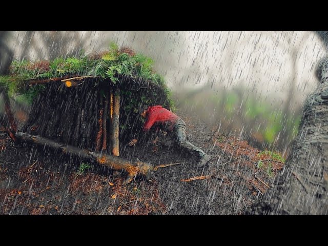 Camping alone building my survival shelter. Bushcraft. Camping in the rain