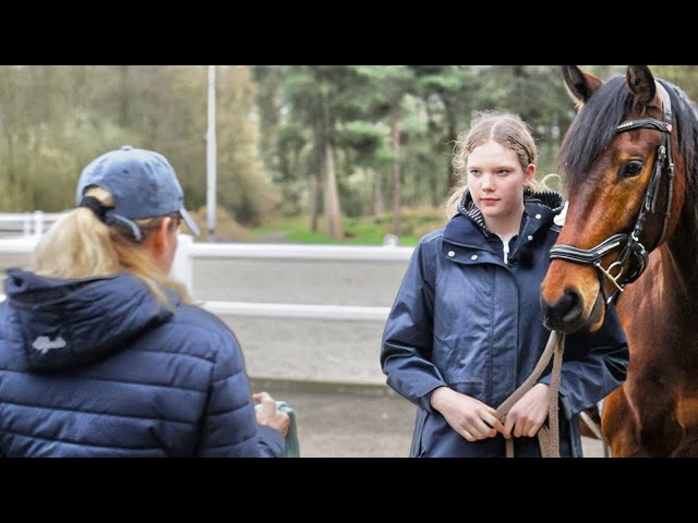 Eifersüchtig auf die Neue – Bärbel nimmt Jungpferd Joey in Beschlag | Pferd anreiten