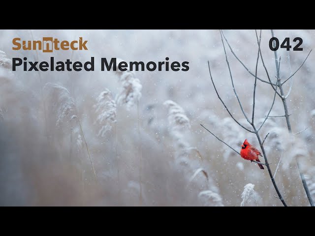 Sunnteck - Pixelated Memories 042