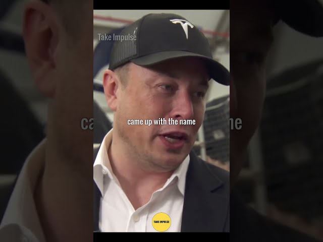We didn't own the name "Tesla" | Elon Musk