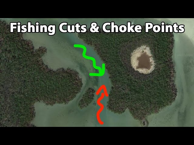 How To Fish Cuts & Pinch Points: Artificial Lures vs. Live Bait