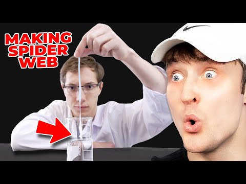 Science Experiments That ACTUALLY Work!