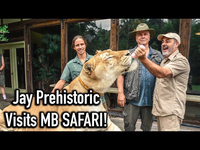 Jay Prehistoric Pets Visits Myrtle Beach Safari!