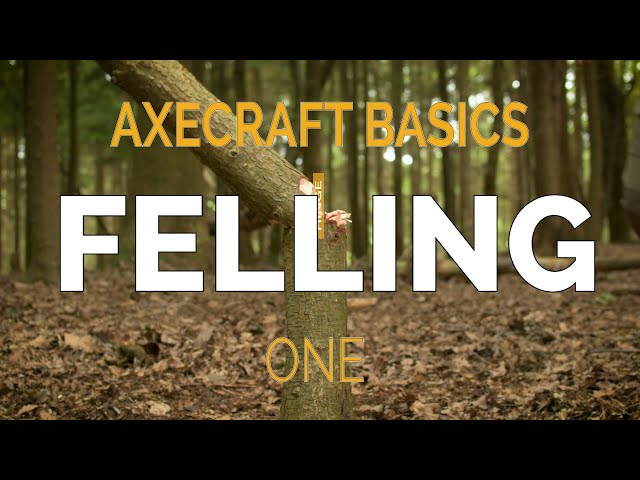 Cutting down a small tree with an axe - Axecraft Basics Part 1