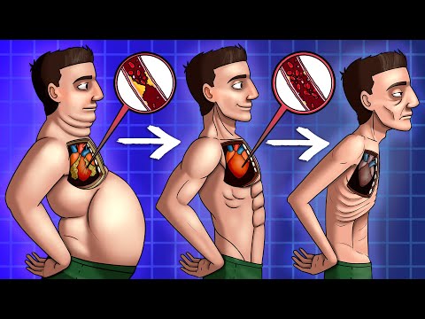 What Happens When You Stop Eating (Science-Based)