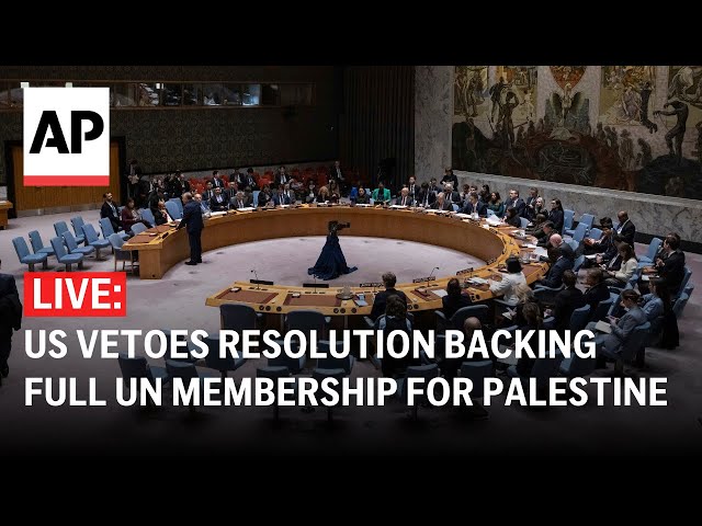 LIVE: UN Security Council holds debate on Middle East, Palestinian question