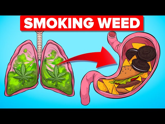 What Happens To Your Body When Smoking Weed