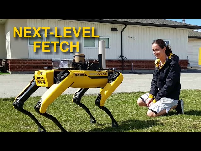 Robot Dog Fetches Snacks Across Town! - Spot