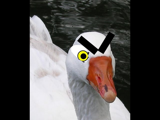 being an evil goose