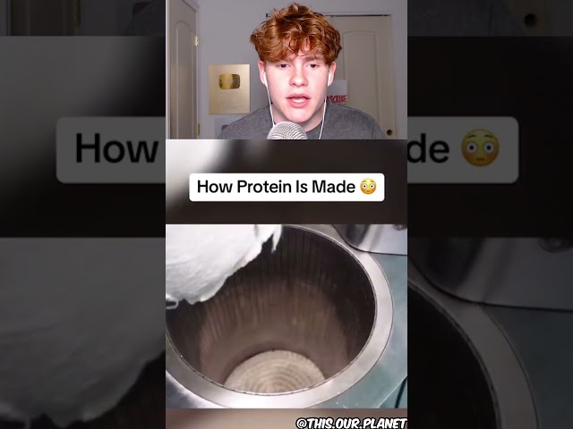 How Protein Is Made 🤮