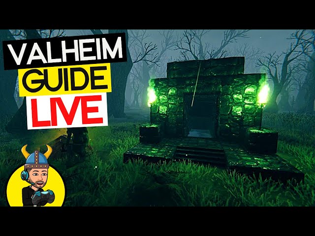 The Valheim Guide - LIVE! Iron Time!