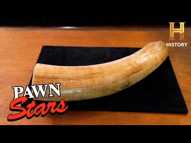 Pawn Stars Do America: Mastodon Tusk from 30 Million Years Ago (S2)