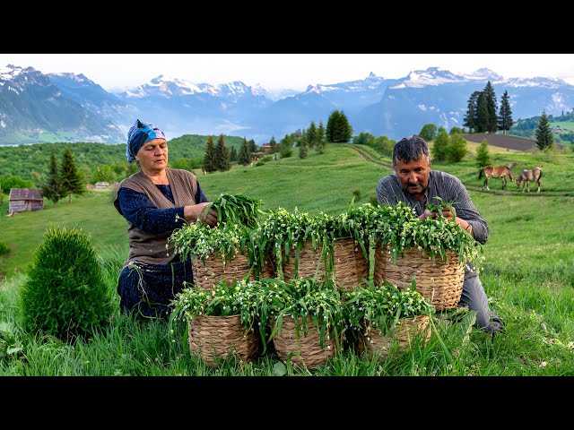 Caucasian Wild Garlic: Collecting and Making Flatbreads