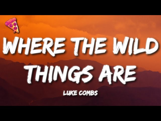Luke Combs - Where the Wild Things Are (Lyrics)