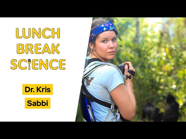 Growing Up Chimp • Dr. Kris Sabbi • Lunch Break Science