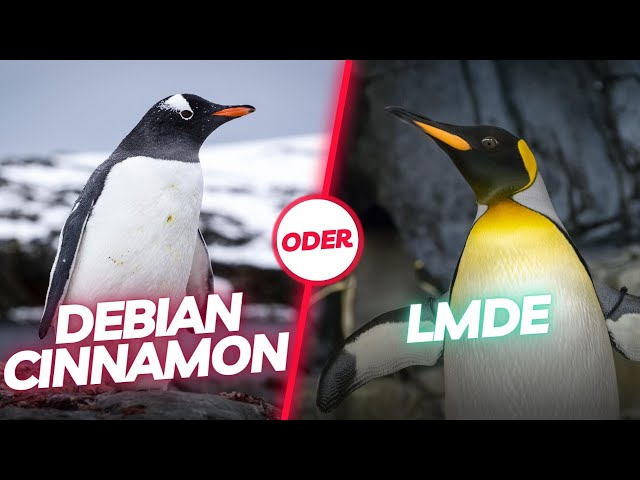LMDE oder Debian mit Cinnamon: Welches ist die bessere Wahl? Das solltest Du zuvor wissen!