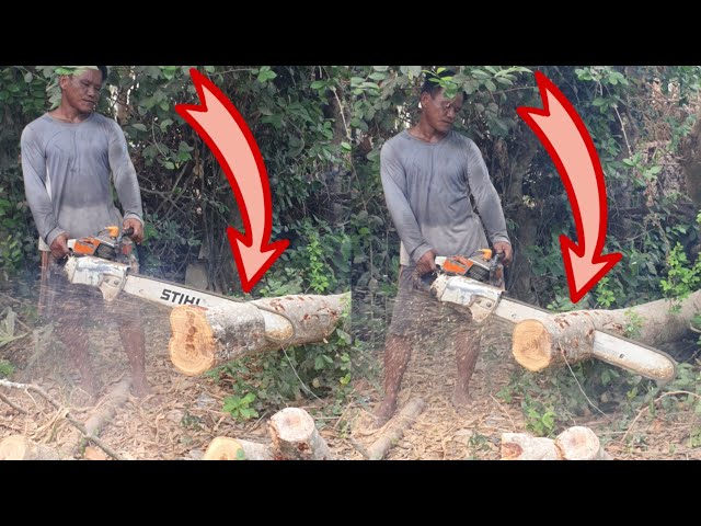 Equipment STIHL Chainsaw Machinery Cutting Wood