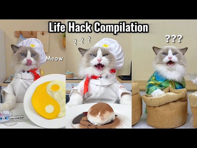 Puff's Ultimate Life Hack Compilation: Ingenious Tricks Unveiled! 🛠️