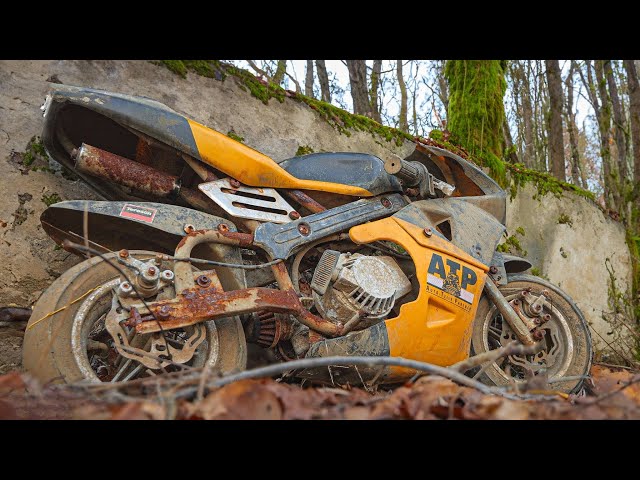 Forgotten Honda Minibike Restoration - Full Process