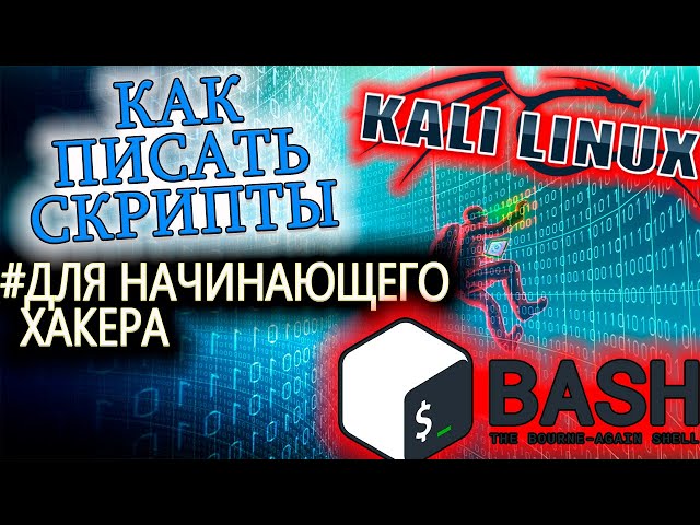 Основы написания сценариев для начинающего хакера. Kali Linux. Часть 1