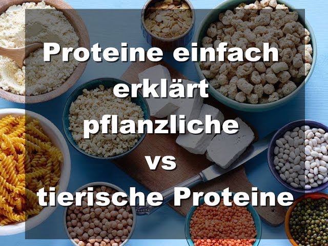 Tierische vs pflanzliche Proteine- Proteine einfach erklärt+pflanzliche Proteinquellen