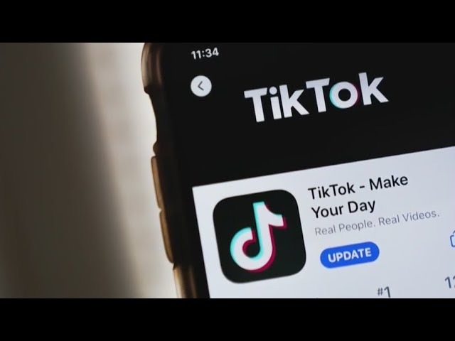TikTok ban could be 1st Amendment violation: Creator | NewsNation Prime