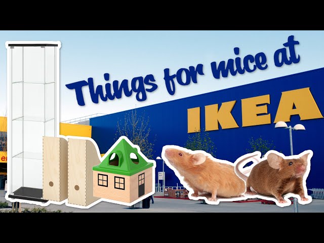 Things you can buy at IKEA for Mice