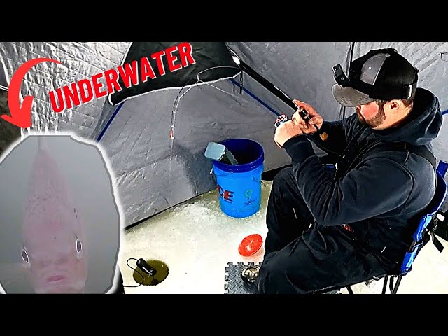 Mississippi River Ice Fishing ~ Underwater Camera Footage ~ {Catch, Clean, Cook}