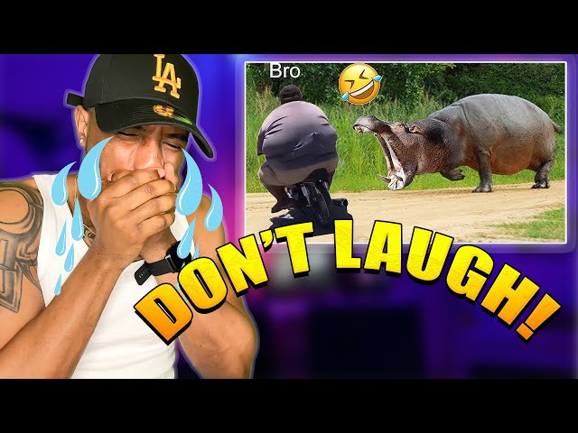 TRY NOT TO LAUGH CHALLENGE!